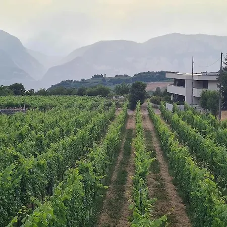 Moderni, Luminosi E Tranquilli Con Parcheggio Privato - Agritur La Tenuta Apartment Trento