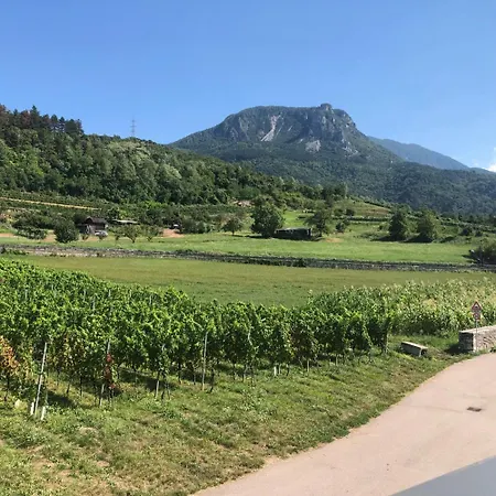 Apartment Moderni, Luminosi E Tranquilli Con Parcheggio Privato - Agritur La Tenuta