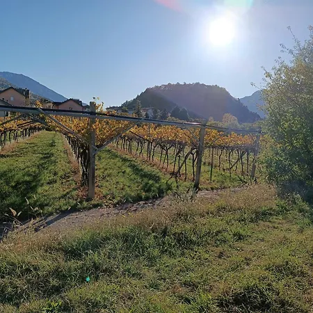 Apartment Moderni, Luminosi E Tranquilli Con Parcheggio Privato - Agritur La Tenuta Trento
